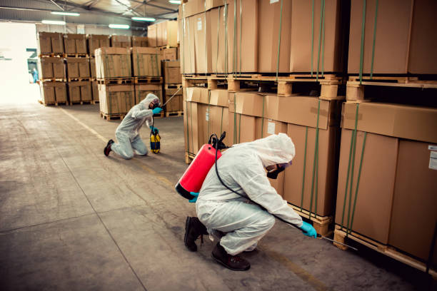 Trusted Celina, TX Pest Control Experts