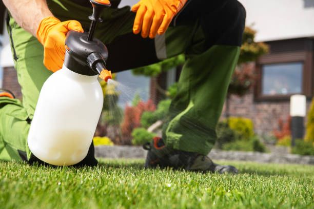 Best Best Pest Control Companies  in Celina, TX