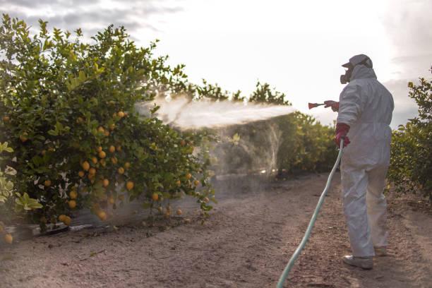 Best Emergency Pest Control  in Celina, TX