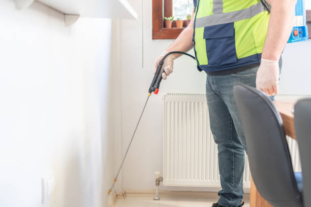 Best Wasp Removal Services  in Celina, TX