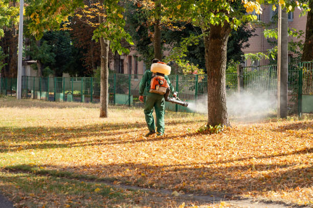 Best Mosquito Control Services  in Celina, TX