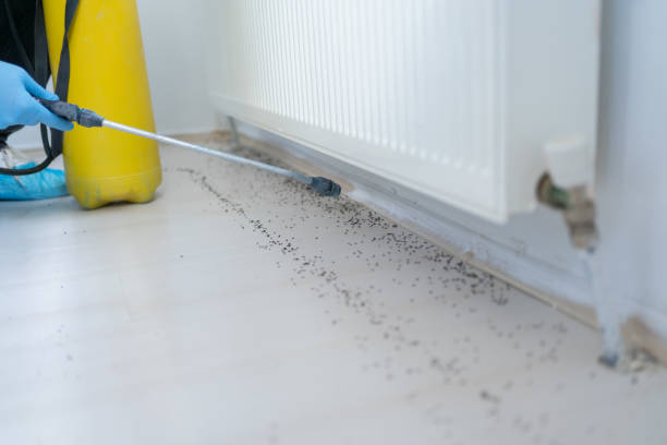 Pest Control Cost in Celina, TX