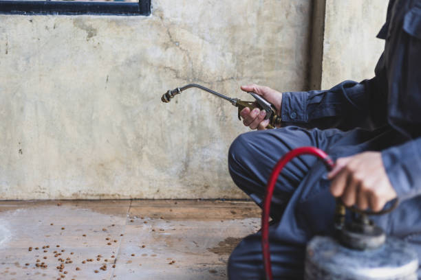 Best Rat Extermination Near Me  in Celina, TX
